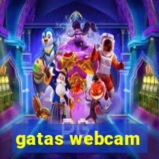 gatas webcam